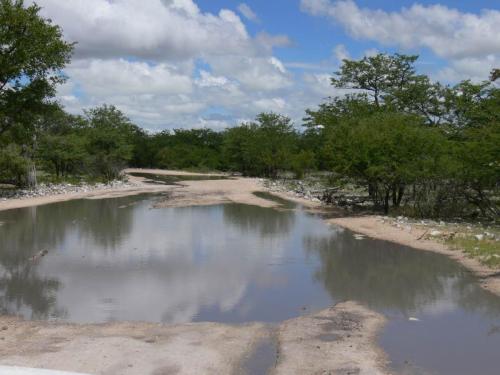 Etosha-NP-Namibie-leden-2009-P1130906