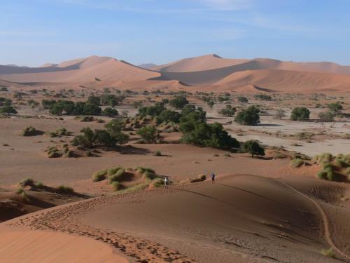 Namib-desert-Sossuslvei-Namibie-leden-2009-P1130214