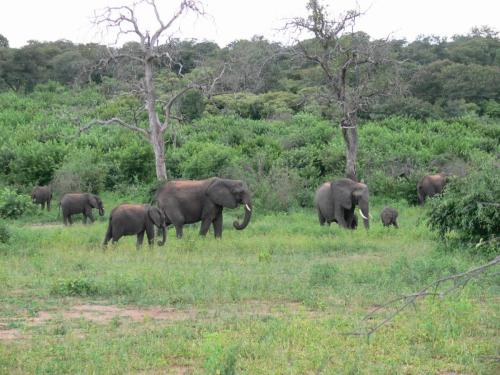 Chobe-Botswana-Namibie-leden-2009-P1140169