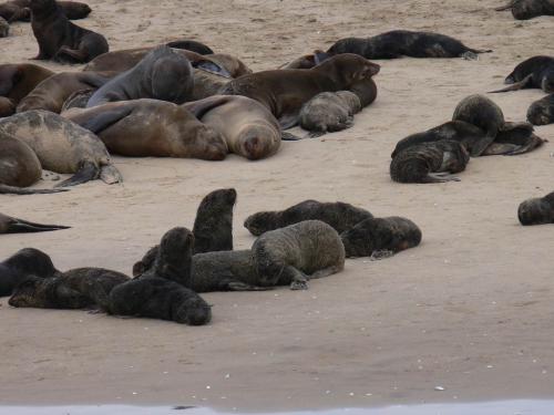 Swakopmund-Namibie-leden-2009-P1130336