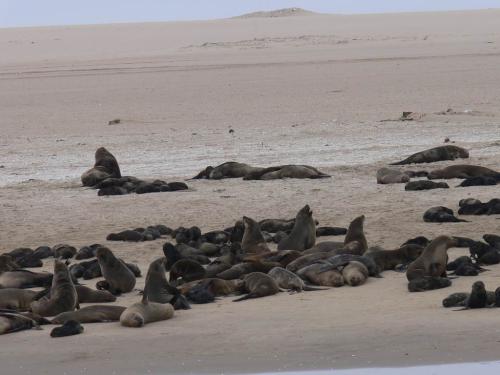 Swakopmund-Namibie-leden-2009-P1130338