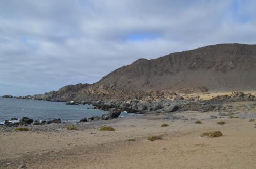 Krajina-Caleta-Ballena-nocleh-Peru Chile-2014 1648