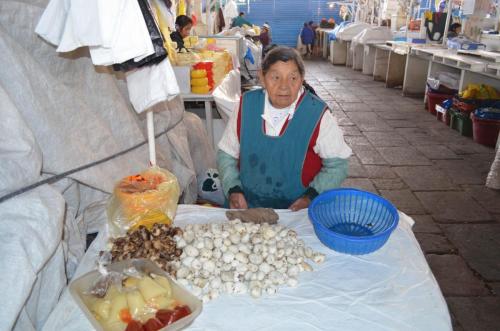 Cuzco-Peru Chile-2014 0905