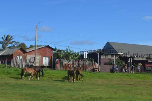 Velikonocni-ostrovy-Peru Chile-2014 0973