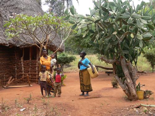 Arabuko-Kenya-2012 PV0026