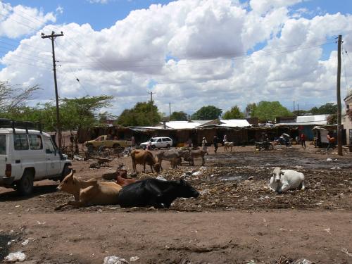Isiolo-Kenya-2012 PV1252