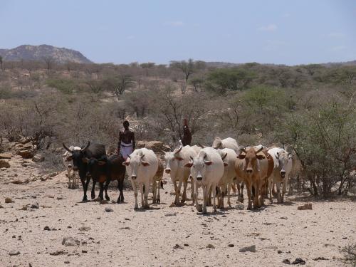 Lokalita-Laisamis-Kenya-2012 PV1205