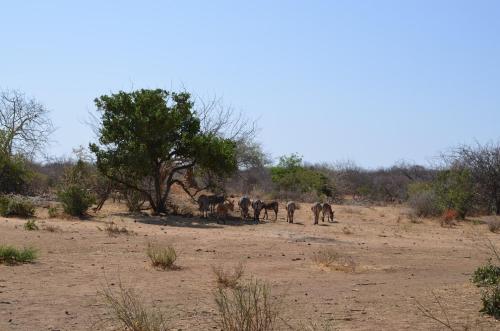 Krajina-Adadi-hned-severne-vesnice-Kenya-2014 1194